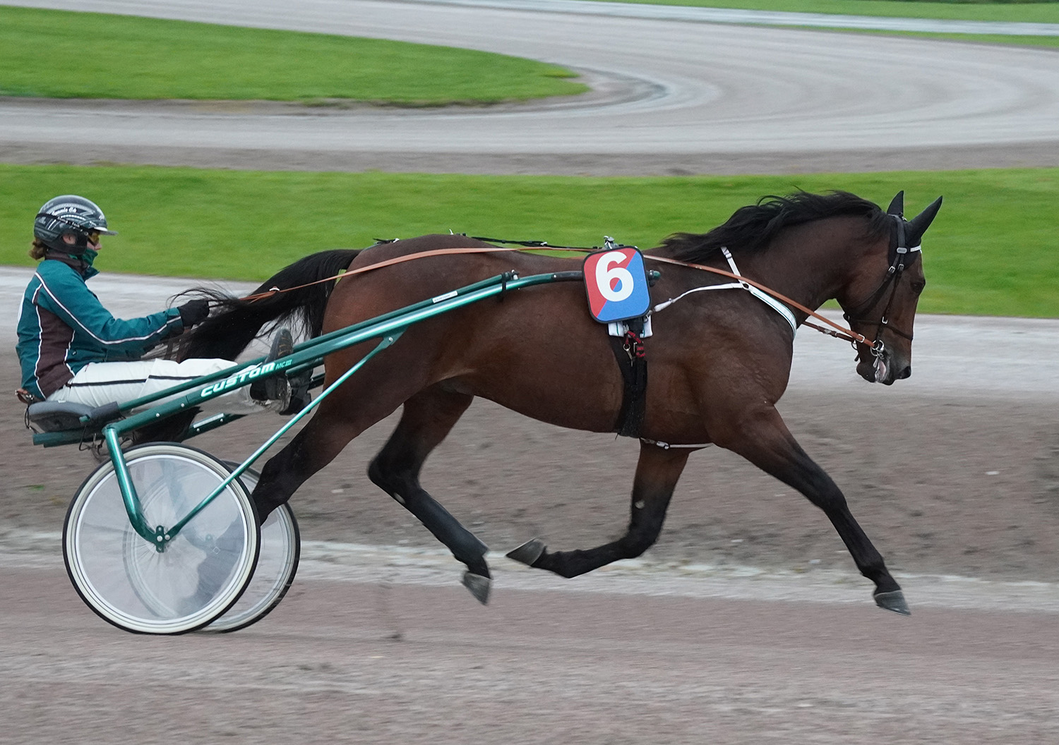 Hell Of A Guy 251022-5